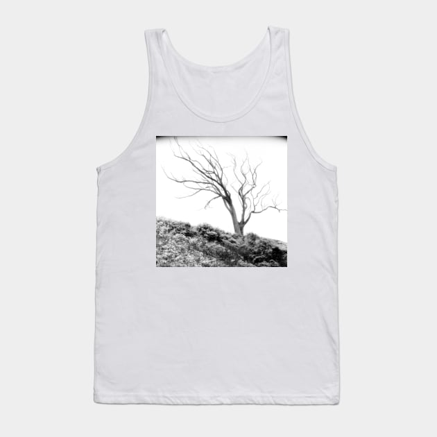 Mount Davidson, San Francisco Tank Top by rodneyj46